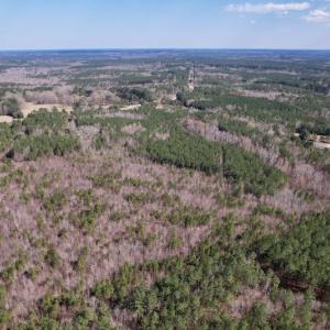 Photo #9 of SOLD property in Off Highway 58, Warrenton , NC 58.8 acres