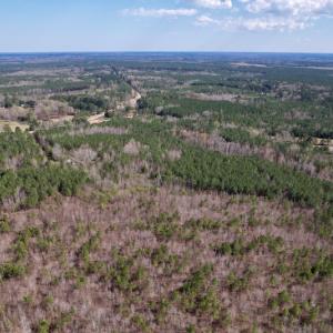 Photo #10 of SOLD property in Off Highway 58, Warrenton , NC 58.8 acres