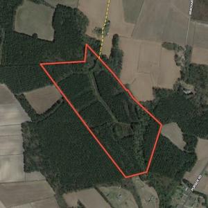 Photo #1 of SOLD property in Off Wilcox Lane, Vanceboro, NC 57.8 acres