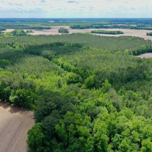 Photo #2 of SOLD property in Off Wilcox Lane, Vanceboro, NC 57.8 acres