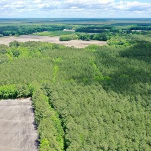 Photo #11 of SOLD property in Off Wilcox Lane, Vanceboro, NC 57.8 acres