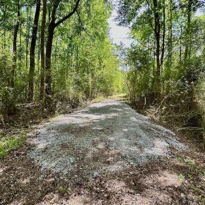 Photo #3 of SOLD property in Off Wilcox Lane, Vanceboro, NC 57.8 acres