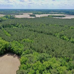 Photo #23 of SOLD property in Off Wilcox Lane, Vanceboro, NC 57.8 acres