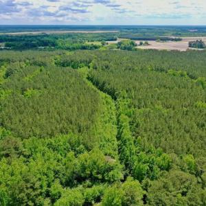 Photo #25 of SOLD property in Off Wilcox Lane, Vanceboro, NC 57.8 acres