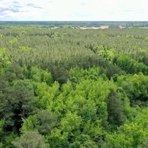 Photo #28 of SOLD property in Off Wilcox Lane, Vanceboro, NC 57.8 acres