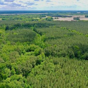 Photo #4 of SOLD property in Off Wilcox Lane, Vanceboro, NC 57.8 acres