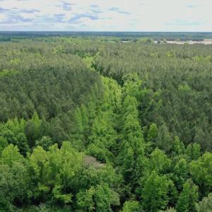 Photo #30 of SOLD property in Off Wilcox Lane, Vanceboro, NC 57.8 acres