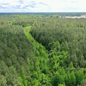 Photo #32 of SOLD property in Off Wilcox Lane, Vanceboro, NC 57.8 acres