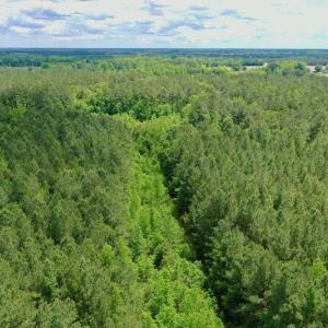 Photo #34 of SOLD property in Off Wilcox Lane, Vanceboro, NC 57.8 acres