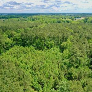 Photo #36 of SOLD property in Off Wilcox Lane, Vanceboro, NC 57.8 acres