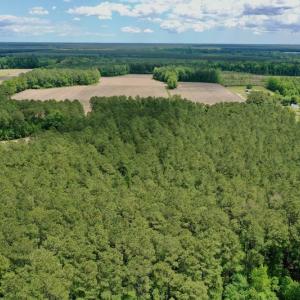 Photo #38 of SOLD property in Off Wilcox Lane, Vanceboro, NC 57.8 acres