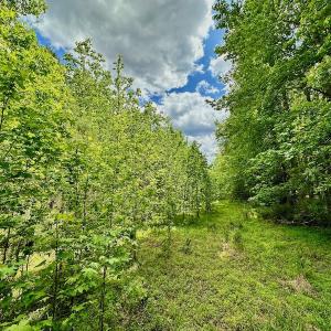 Photo #39 of SOLD property in Off Wilcox Lane, Vanceboro, NC 57.8 acres
