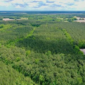 Photo #6 of SOLD property in Off Wilcox Lane, Vanceboro, NC 57.8 acres