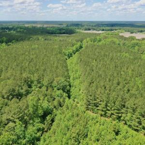 Photo #40 of SOLD property in Off Wilcox Lane, Vanceboro, NC 57.8 acres