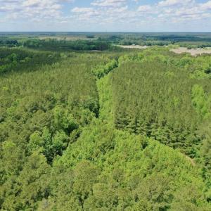 Photo #42 of SOLD property in Off Wilcox Lane, Vanceboro, NC 57.8 acres
