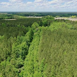 Photo #45 of SOLD property in Off Wilcox Lane, Vanceboro, NC 57.8 acres
