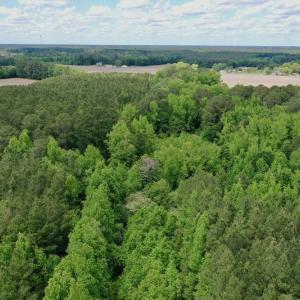 Photo #46 of SOLD property in Off Wilcox Lane, Vanceboro, NC 57.8 acres