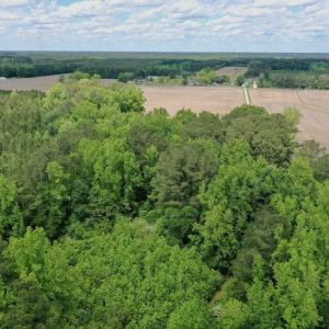 Photo #47 of SOLD property in Off Wilcox Lane, Vanceboro, NC 57.8 acres