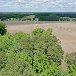 Photo #48 of SOLD property in Off Wilcox Lane, Vanceboro, NC 57.8 acres