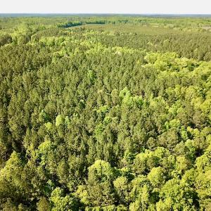 Photo #6 of SOLD property in Off Hobbs Rd., Emporia, VA 70.0 acres