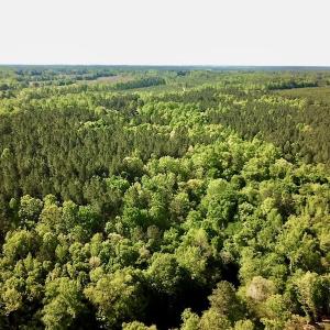 Photo #3 of SOLD property in Off Hobbs Rd., Emporia, VA 70.0 acres