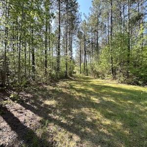 Photo #15 of SOLD property in Off Hobbs Rd., Emporia, VA 70.0 acres