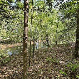 Photo #17 of SOLD property in Off Hobbs Rd., Emporia, VA 70.0 acres
