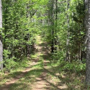 Photo #20 of SOLD property in Off Hobbs Rd., Emporia, VA 70.0 acres