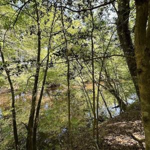 Photo #21 of SOLD property in Off Hobbs Rd., Emporia, VA 70.0 acres