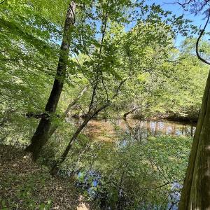 Photo #22 of SOLD property in Off Hobbs Rd., Emporia, VA 70.0 acres