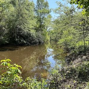 Photo #23 of SOLD property in Off Hobbs Rd., Emporia, VA 70.0 acres