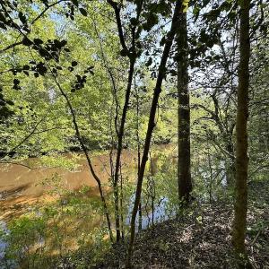 Photo #24 of SOLD property in Off Hobbs Rd., Emporia, VA 70.0 acres