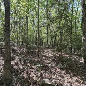 Photo #28 of SOLD property in Off Hobbs Rd., Emporia, VA 70.0 acres