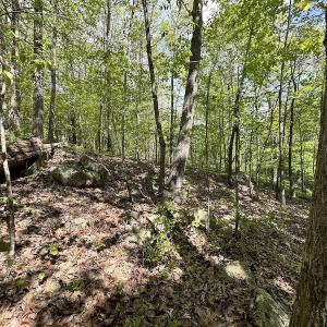 Photo #33 of SOLD property in Off Hobbs Rd., Emporia, VA 70.0 acres