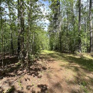 Photo #38 of SOLD property in Off Hobbs Rd., Emporia, VA 70.0 acres