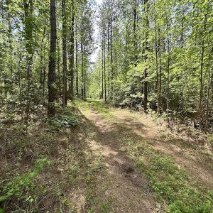 Photo #39 of SOLD property in Off Hobbs Rd., Emporia, VA 70.0 acres