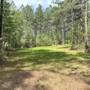 Photo #40 of SOLD property in Off Hobbs Rd., Emporia, VA 70.0 acres