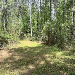 Photo #41 of SOLD property in Off Hobbs Rd., Emporia, VA 70.0 acres