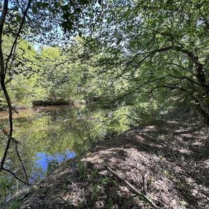 Photo #4 of SOLD property in Off Hobbs Rd., Emporia, VA 70.0 acres