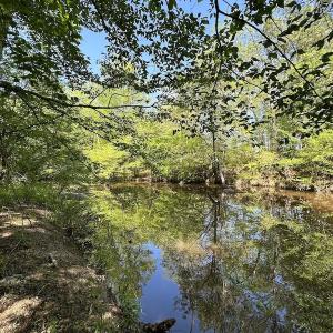 Photo #5 of SOLD property in Off Hobbs Rd., Emporia, VA 70.0 acres
