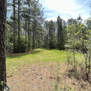 Photo #42 of SOLD property in Off Hobbs Rd., Emporia, VA 70.0 acres