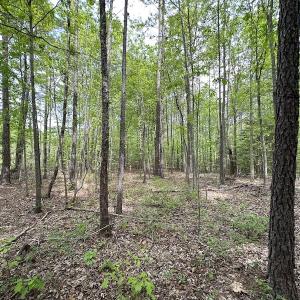 Photo #43 of SOLD property in Off Hobbs Rd., Emporia, VA 70.0 acres