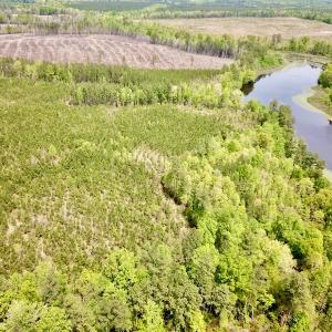 Photo #2 of SOLD property in Off Doyles Lake Rd, Emporia, VA 74.3 acres