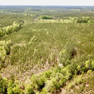 Photo #3 of SOLD property in Off Doyles Lake Rd, Emporia, VA 74.3 acres