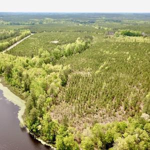 Photo #4 of SOLD property in Off Doyles Lake Rd, Emporia, VA 74.3 acres