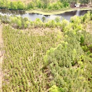 Photo #5 of SOLD property in Off Doyles Lake Rd, Emporia, VA 74.3 acres