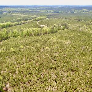 Photo #6 of SOLD property in Off Doyles Lake Rd, Emporia, VA 74.3 acres