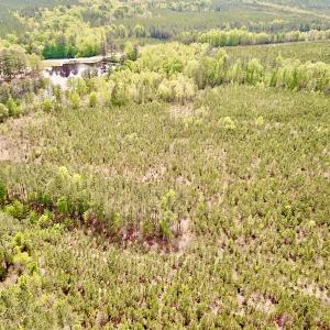Photo #7 of SOLD property in Off Doyles Lake Rd, Emporia, VA 74.3 acres