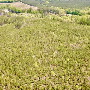 Photo #9 of SOLD property in Off Doyles Lake Rd, Emporia, VA 74.3 acres