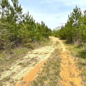 Photo #13 of SOLD property in Off Doyles Lake Rd, Emporia, VA 74.3 acres